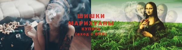 каннабис Алексеевка