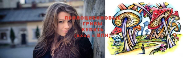 прущие грибы Алзамай