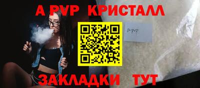 spice Кингисепп