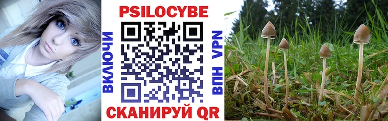 Псилоцибиновые грибы ЛСД Пермь