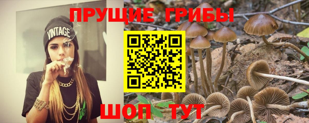 Пермь  Псилоцибиновые грибы прущие грибы  Псилоцибиновые грибы мухоморы  Вход с VPN 