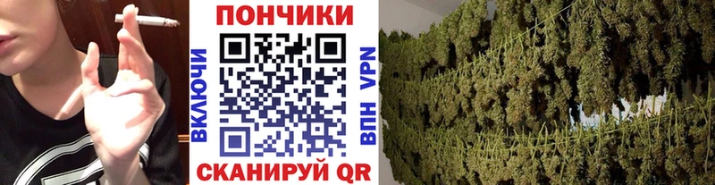 где можно купить Пермь Марихуана планчик